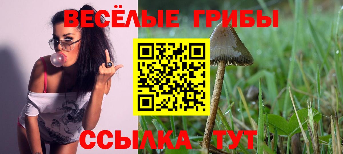 Псилоцибиновые грибы ЛСД  Вход с VPN  Азнакаево 
